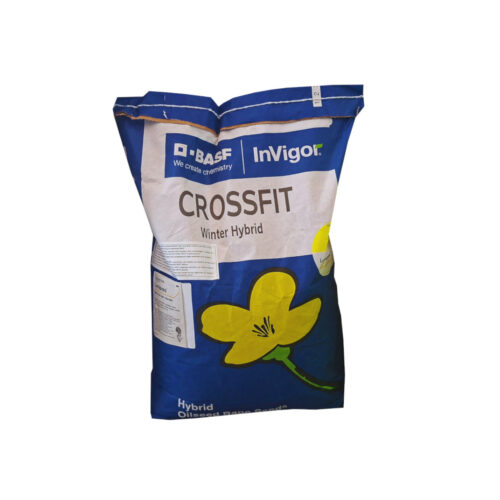 Rzepak ozimy InVigor Crossfit F1 od BASF – opakowanie 1,5 mln nasion