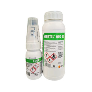 Jesienny pakiet herbicydowy Mertil 600 SC + Loop – skuteczna ochrona zbóż ozimych przed chwastami