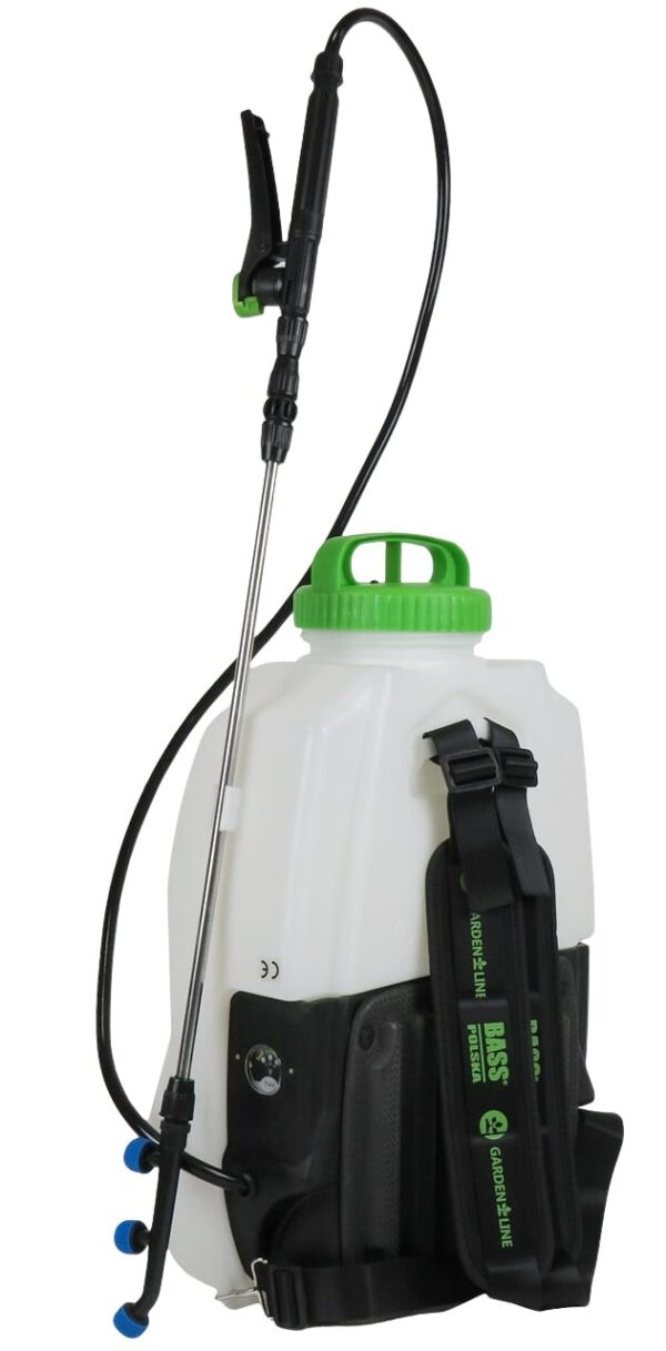 BASFF 1L CZ.2
