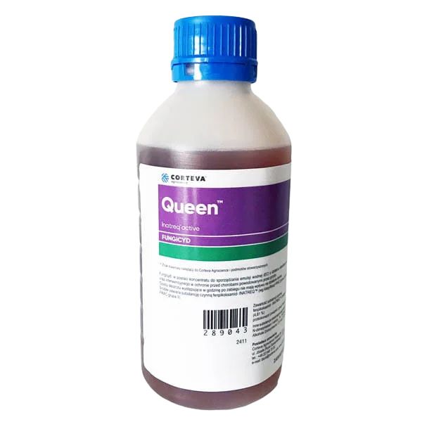 Queen 1l