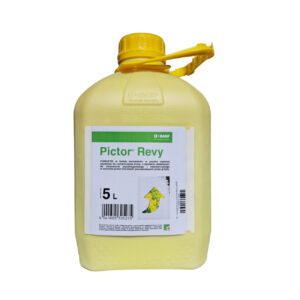 PICTOR REVY 5L