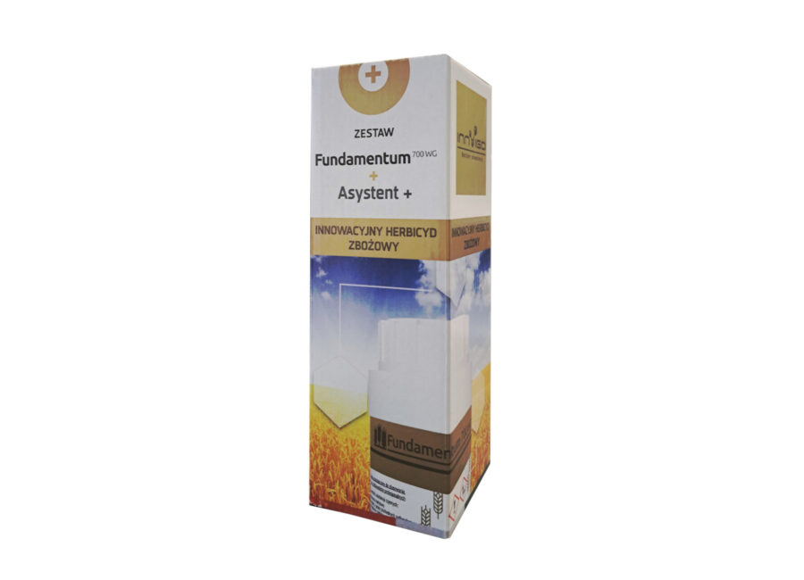 Prywatne: FUNDAMENTUM 700 WG 30GR Prywatne: FUNDAMENTUM 700 WG 30GR