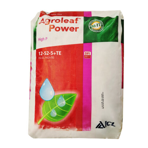 Prywatne: AGROLEAF POWER HIGH P 12-52-5 FOSFOROWY 15KG Prywatne: AGROLEAF POWER HIGH P 12-52-5 FOSFOROWY 15KG