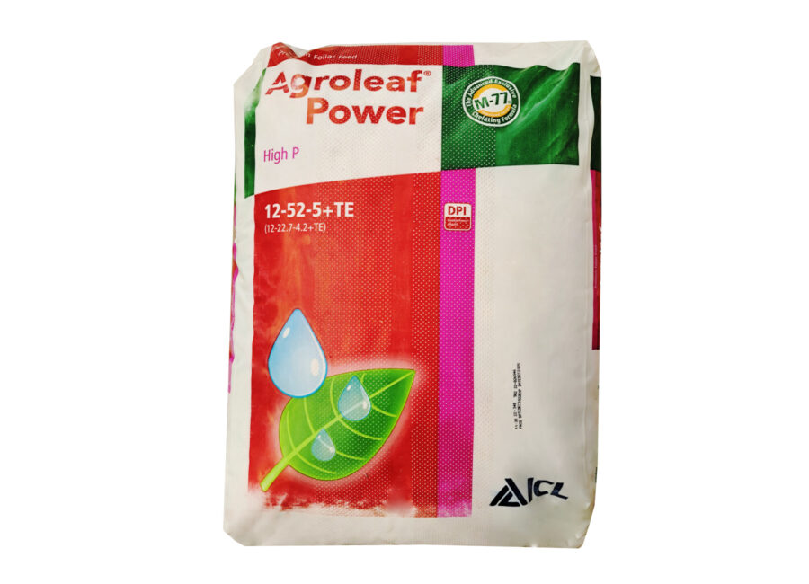 Prywatne: AGROLEAF POWER HIGH P 12-52-5 FOSFOROWY 15KG Prywatne: AGROLEAF POWER HIGH P 12-52-5 FOSFOROWY 15KG