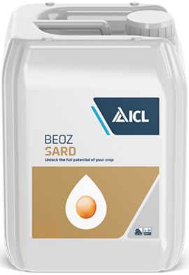 Prywatne: BEOZ SARD 5L Prywatne: BEOZ SARD 5L