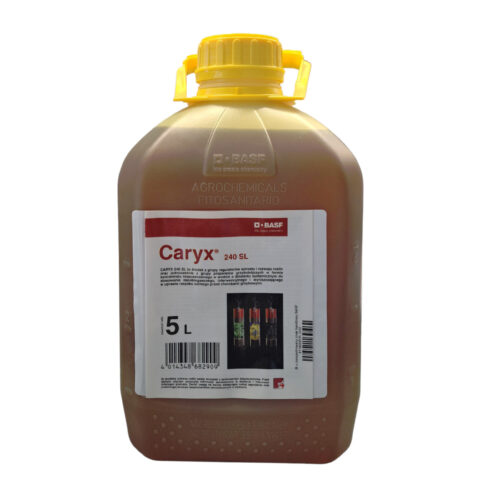 Prywatne: CARYX 240 SL 5L Prywatne: CARYX 240 SL 5L