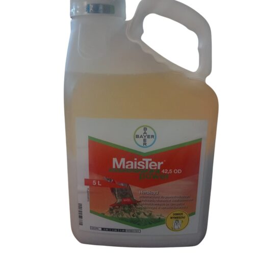 Prywatne: MAISTER POWER 42,5 OD 1l Prywatne: MAISTER POWER 42,5 OD 1l