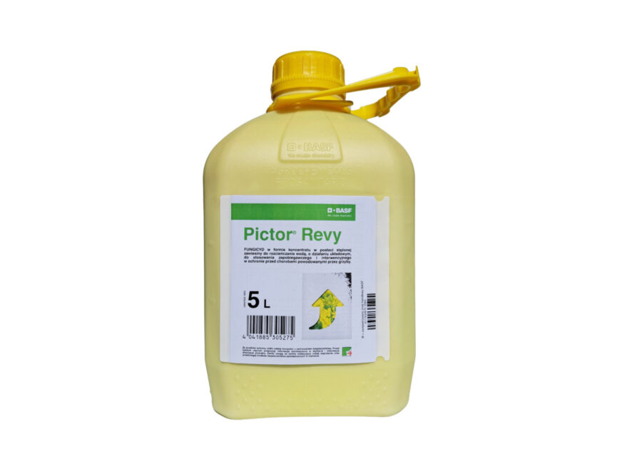 Prywatne: PICTOR REVY 5L Prywatne: PICTOR REVY 5L