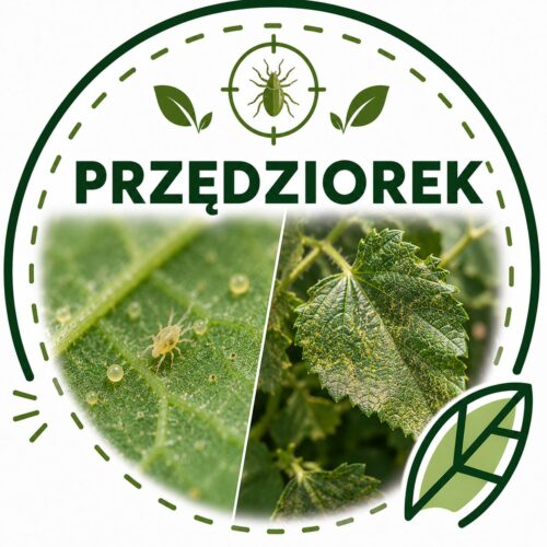 Ikona Pędziorek ACEPTIR 200 SE 1l (Acetamipryd,Insekcytyd)