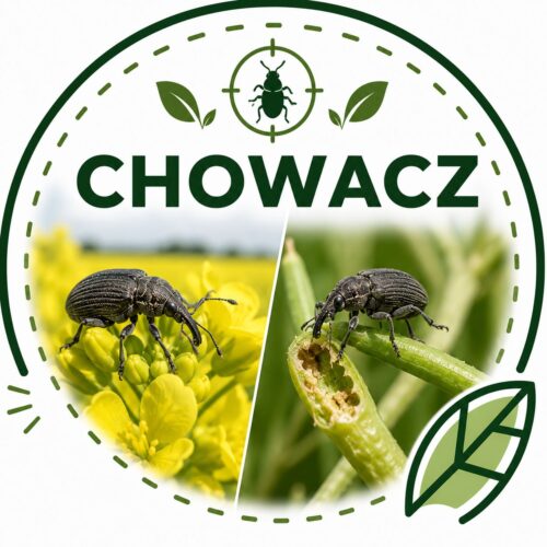Ikonka Chowacz ACEPTIR 200 SE 1l (Acetamipryd,Insekcytyd)
