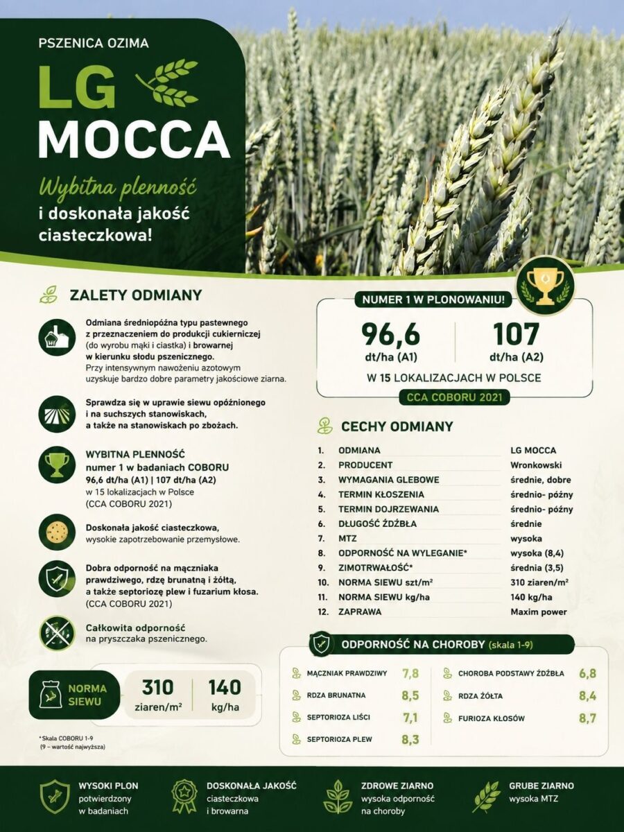 Ikonka Lg mocca PSZENICA OZIMA MOCCA LG 50kg Wronkowski (Idealna dla młynów do produkcji mąki)