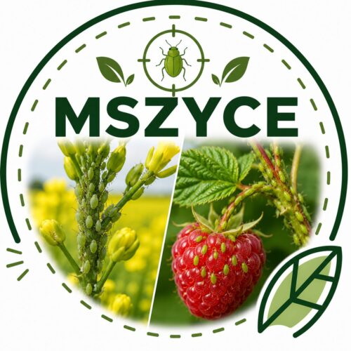 Ikonka Mszyce ACEPTIR 200 SE 1l (Acetamipryd,Insekcytyd)