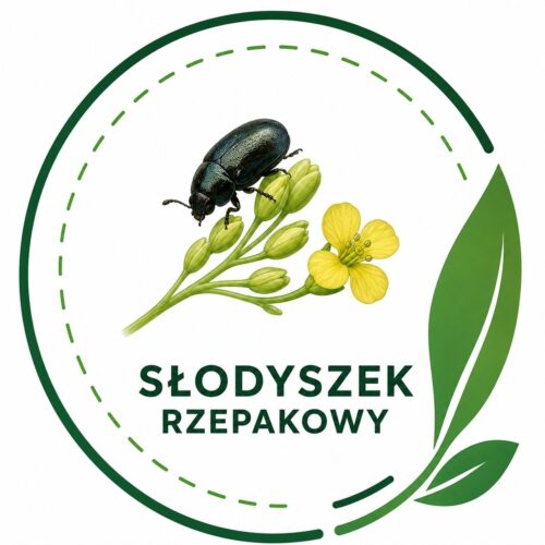 Ikonka Słodyszek ACEPTIR 200 SE 1l (Acetamipryd,Insekcytyd)