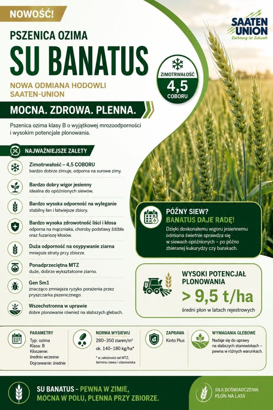 Ikonka Su banatus PSZENICA OZIMA BANATUS SAATEN UNION (Mrozoodporność,Odporność na wyleganie) 50kg