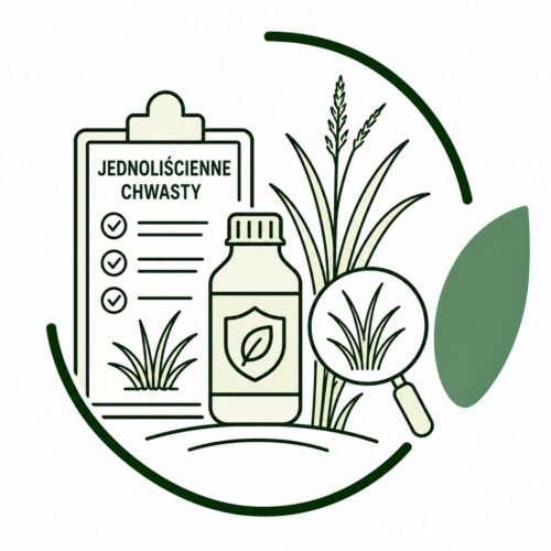 Ikonka chwasty jednoliścienne ADENGO 315 SC 0,5L (Herbicyd,Doglebowo i nalistnie,Kukurydza)
