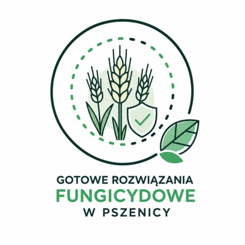 Ikonka gotowe rozwiązania fungicydowe w pszenicy ADOB BOR 10l (Bor,Ekologia)