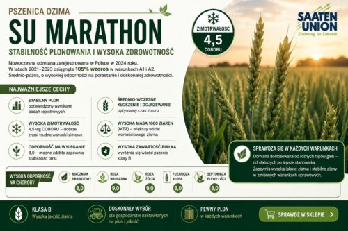 PSZENICA OZIMA MARATHON 50kg SAAREN UNION (Mocne źdźbło i stabilny łan)