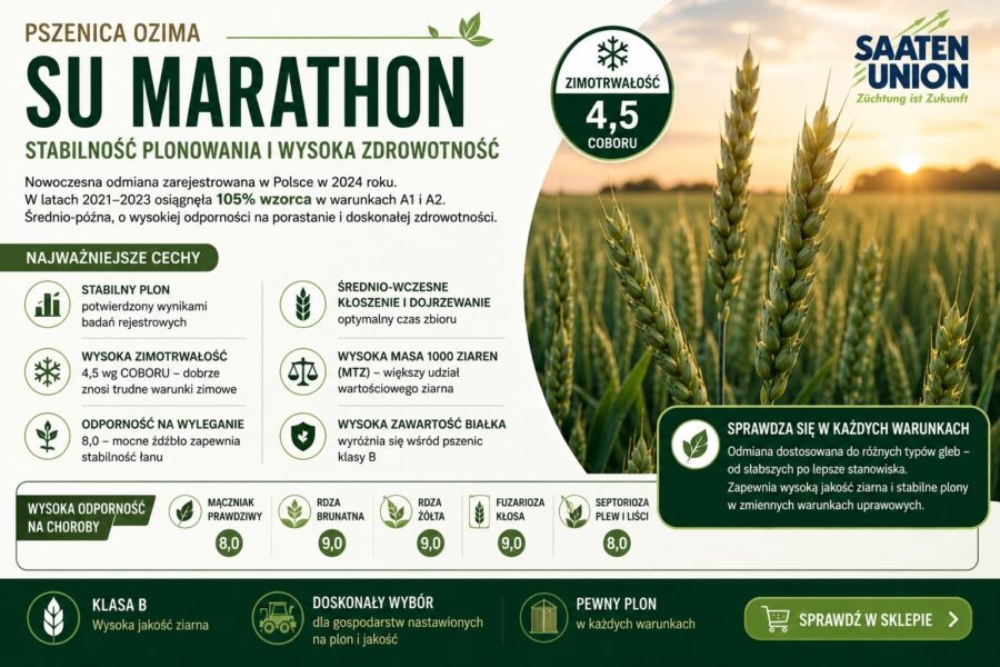 Ikonka su marathon PSZENICA OZIMA MARATHON 50kg SAAREN UNION (Mocne źdźbło i stabilny łan)